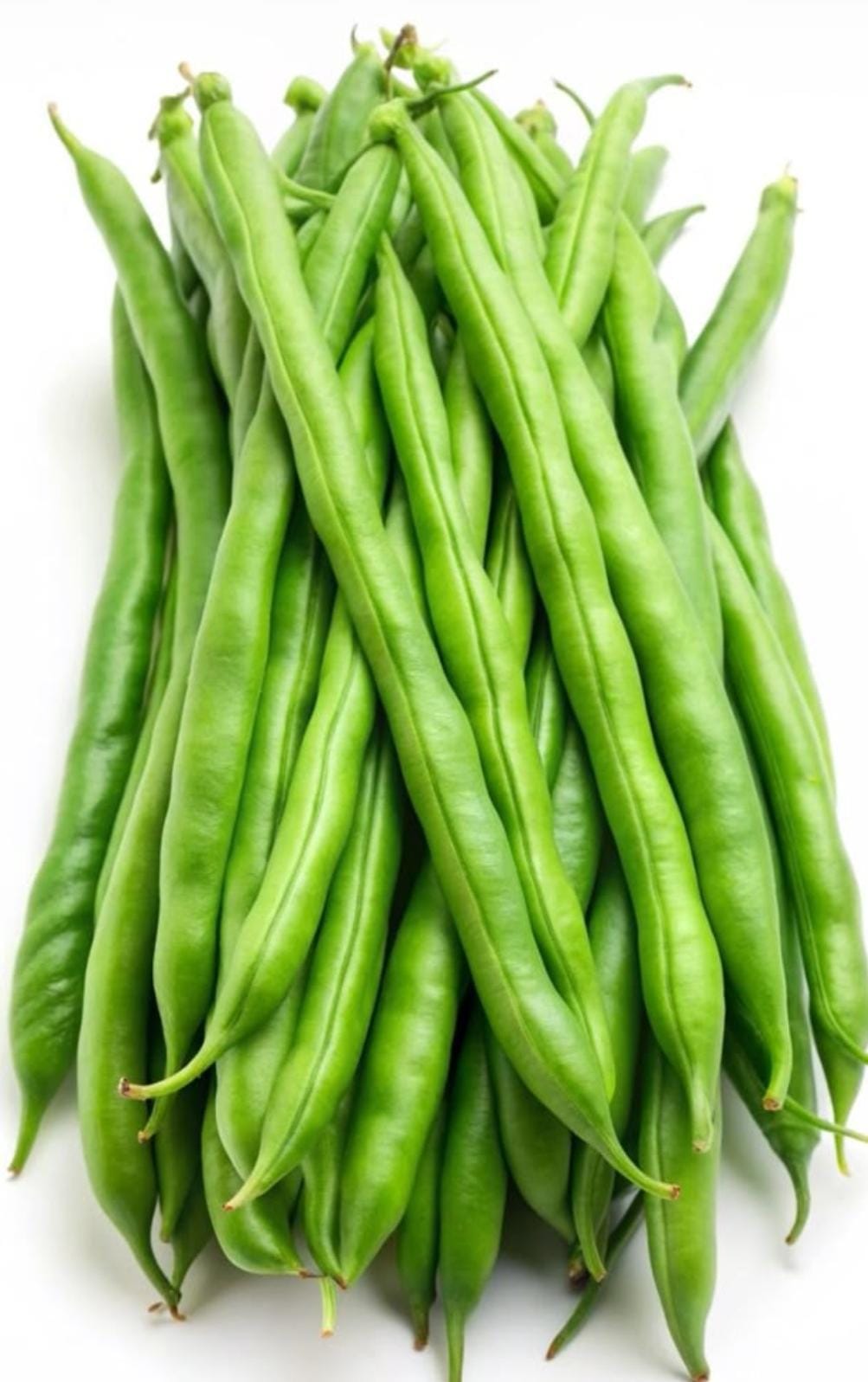 Beans Haricot