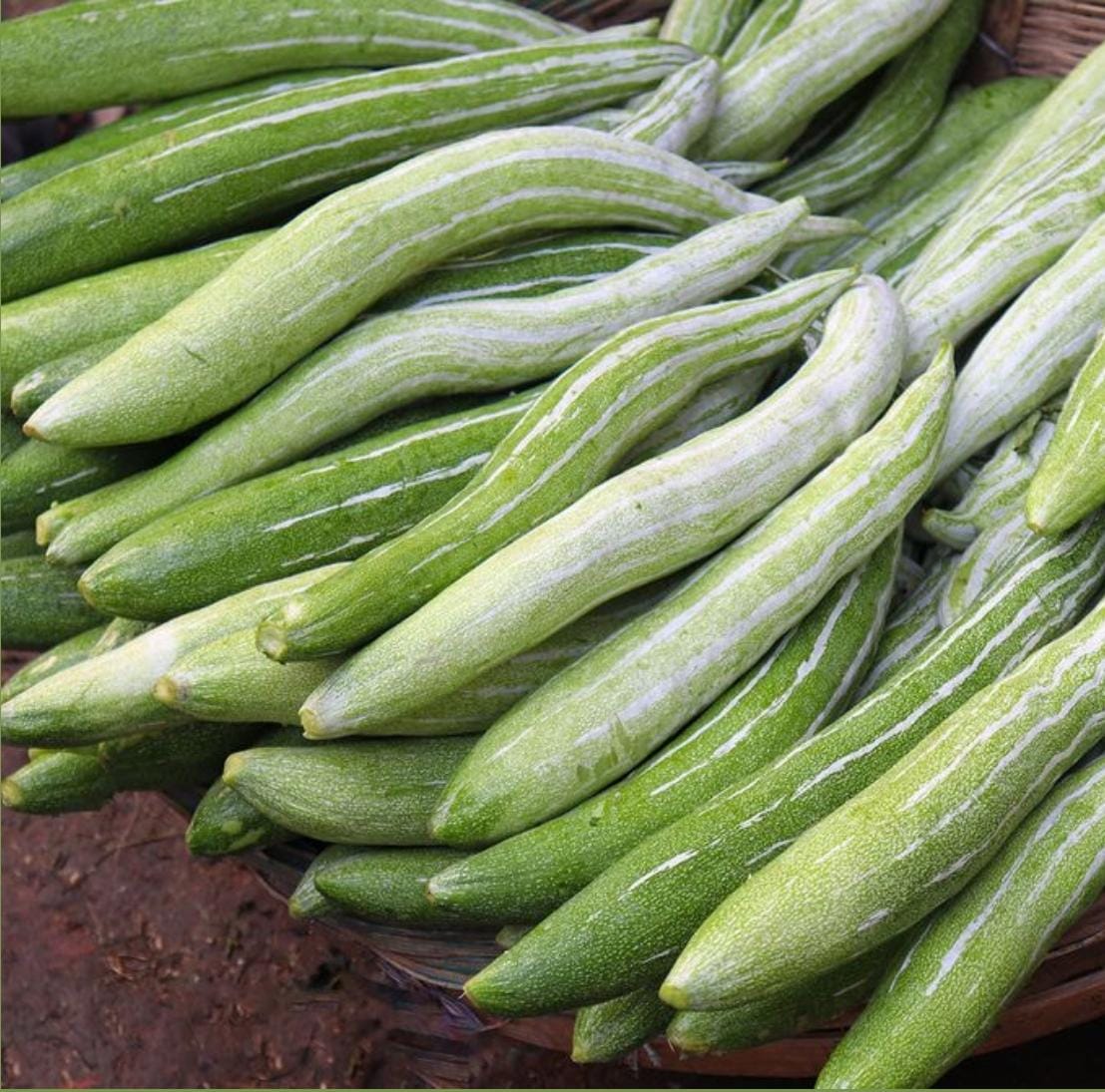 Snake Gourd