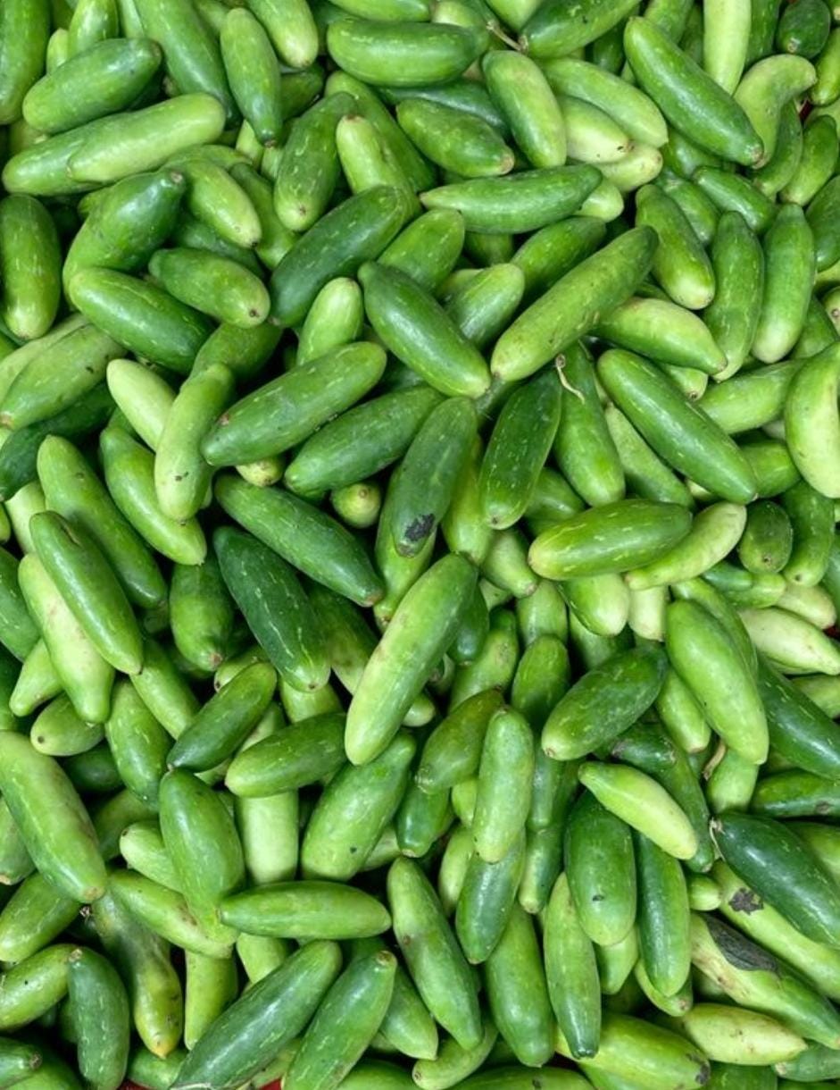 Dondakaya