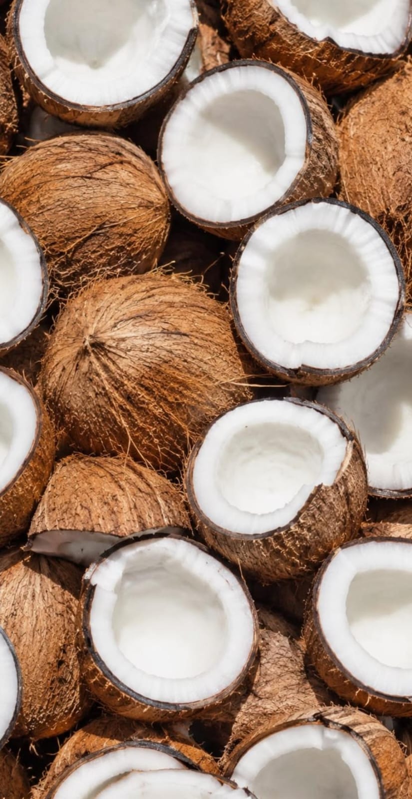 Fresh Coconut