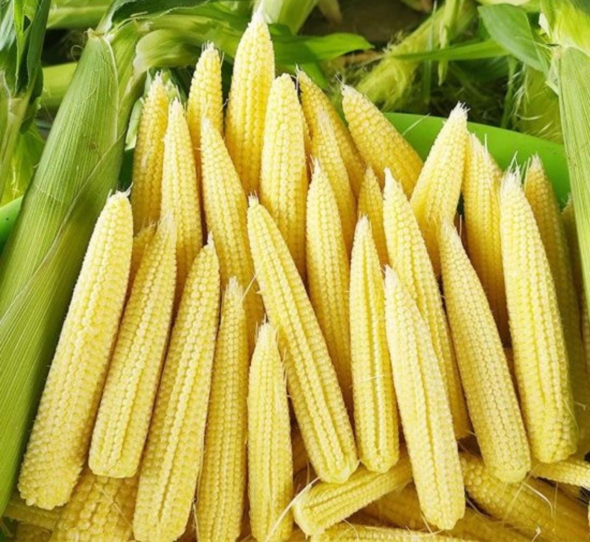 Baby Corn