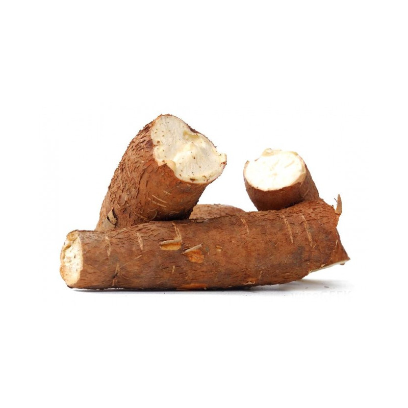 Kanda Gadda (Yam)