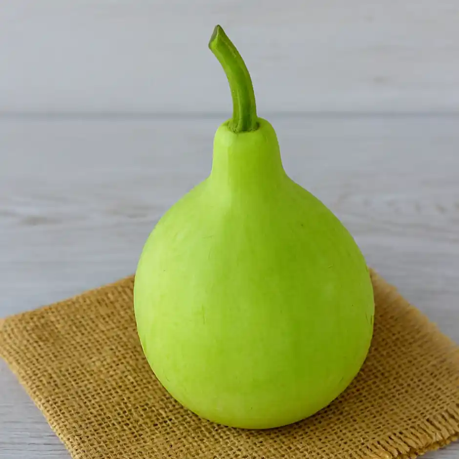 Round Sorakaya (Round Bottle Gourd)