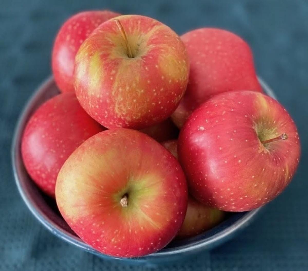 GALA Apple