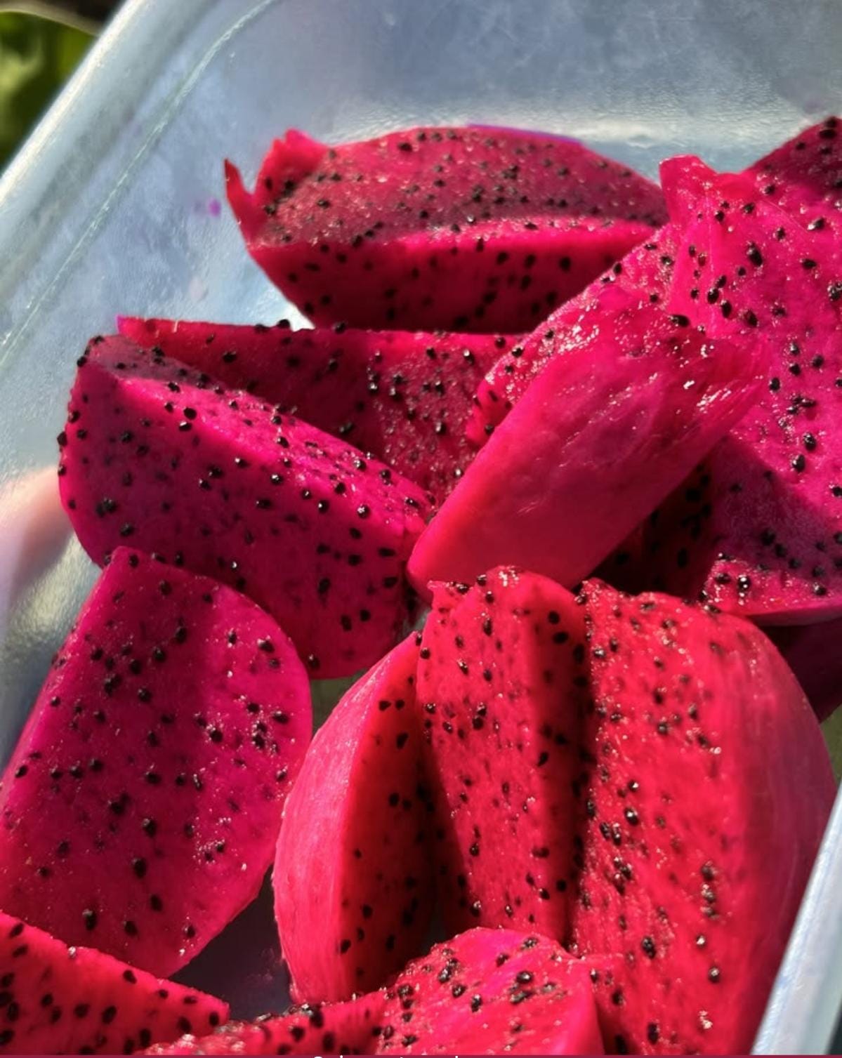 Red Dragon Fruit