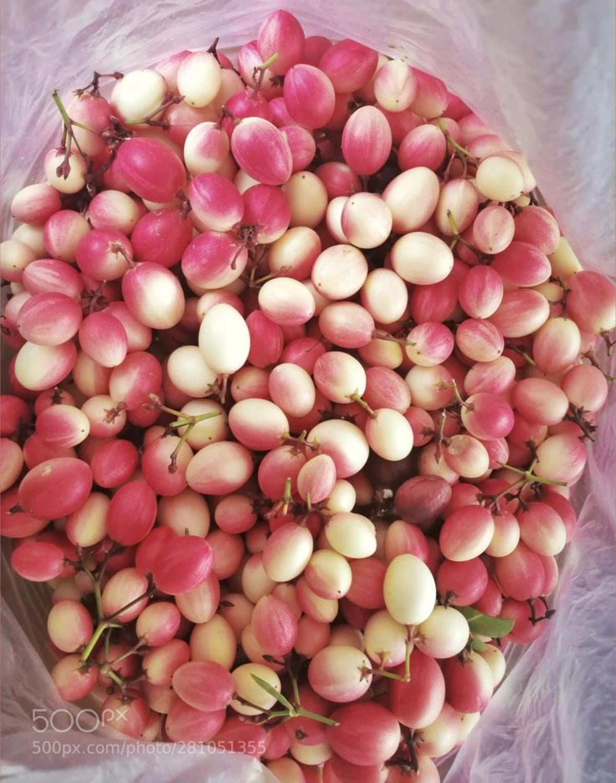Vaakayalu